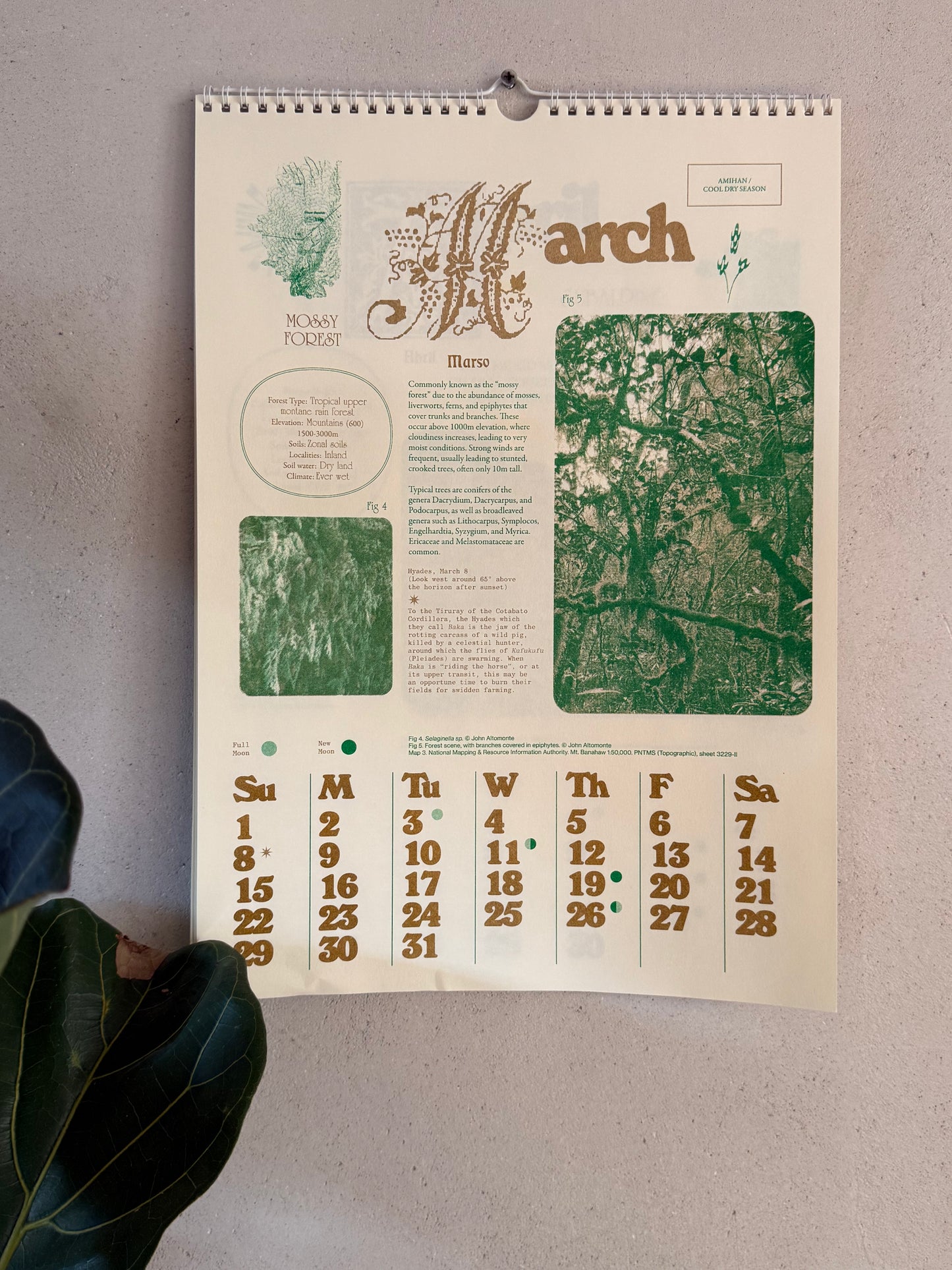 Philippine Forest Calendar 2026