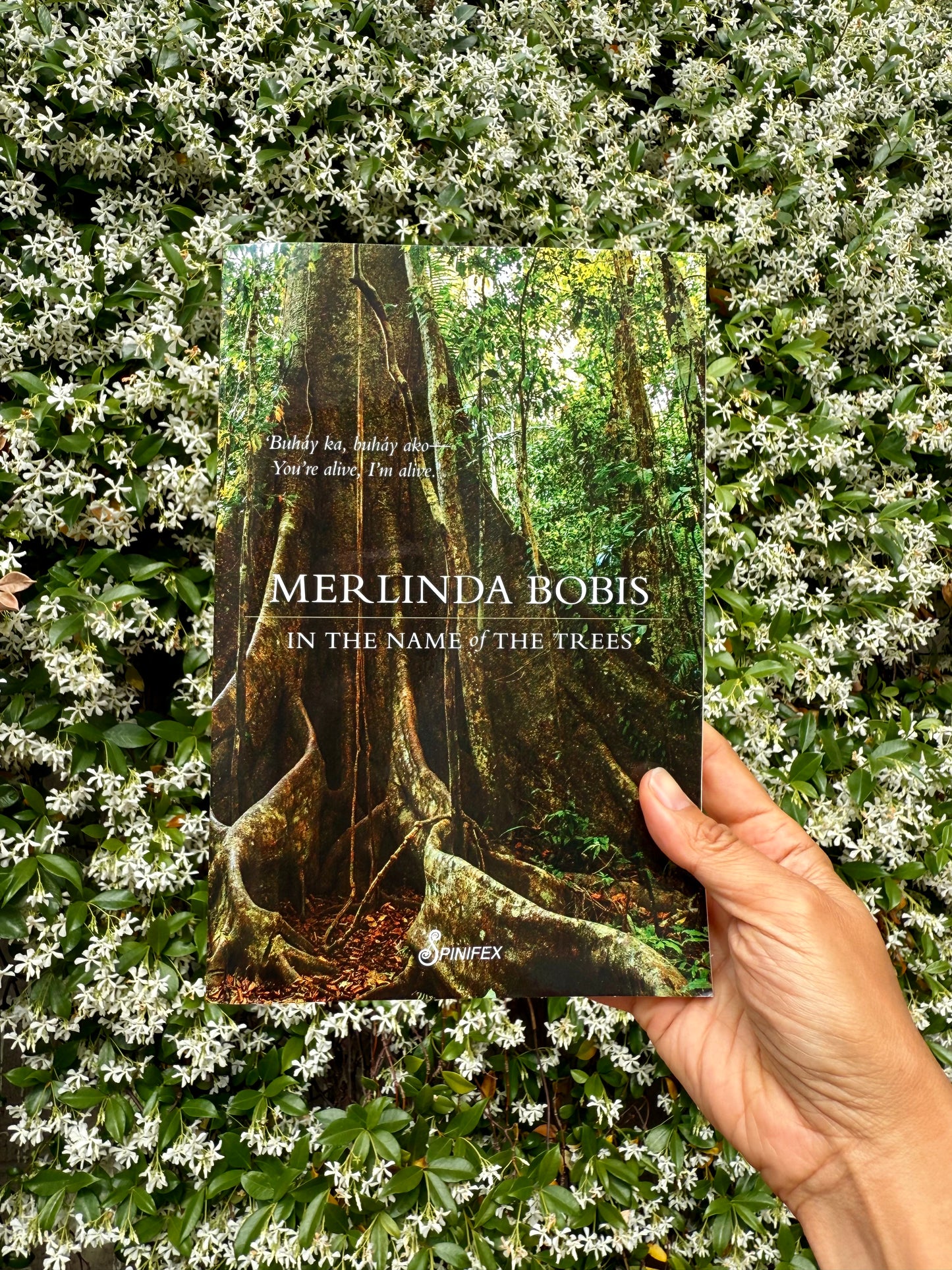 In the Name of the Trees