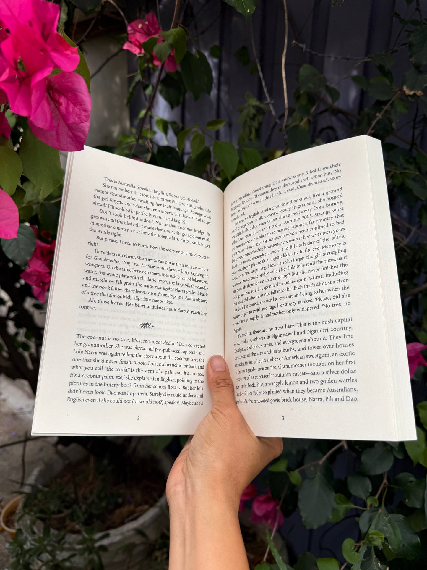 In the Name of the Trees