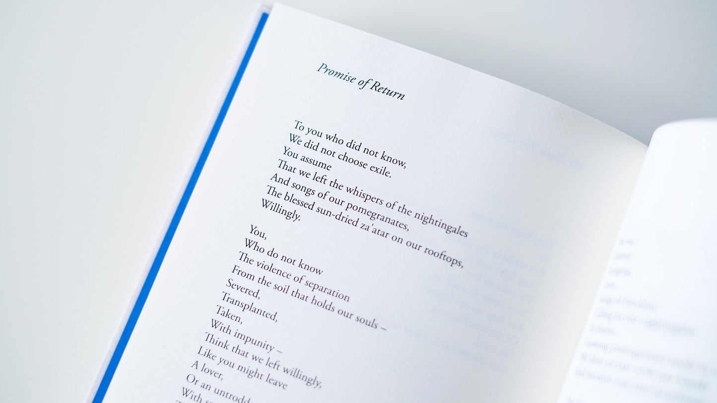 N Mo'alla - Love Letters to Baba