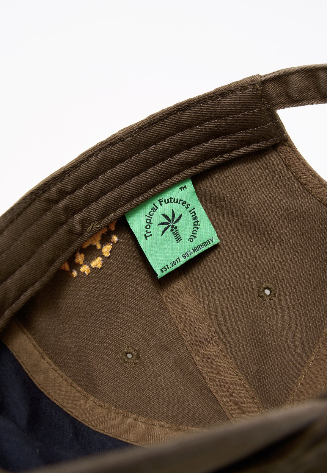 Tropical Futures: Thinking Like an Archipelago (Brown)